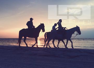 Horseback riding in Hurghada: Horseback riding on the beach or in the desert photo